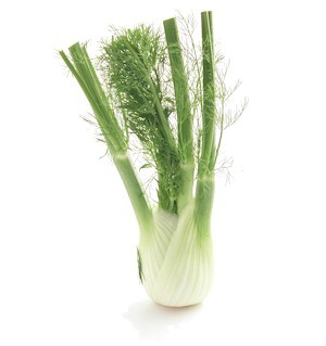 Fennel bulb